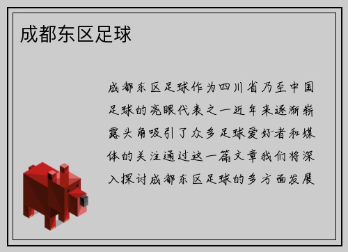 成都东区足球